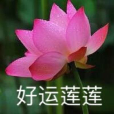 【金色热线】云南大姚县:四项工作推进“教育兴县”战略